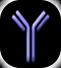 Antibodie
