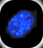 Cell_service
