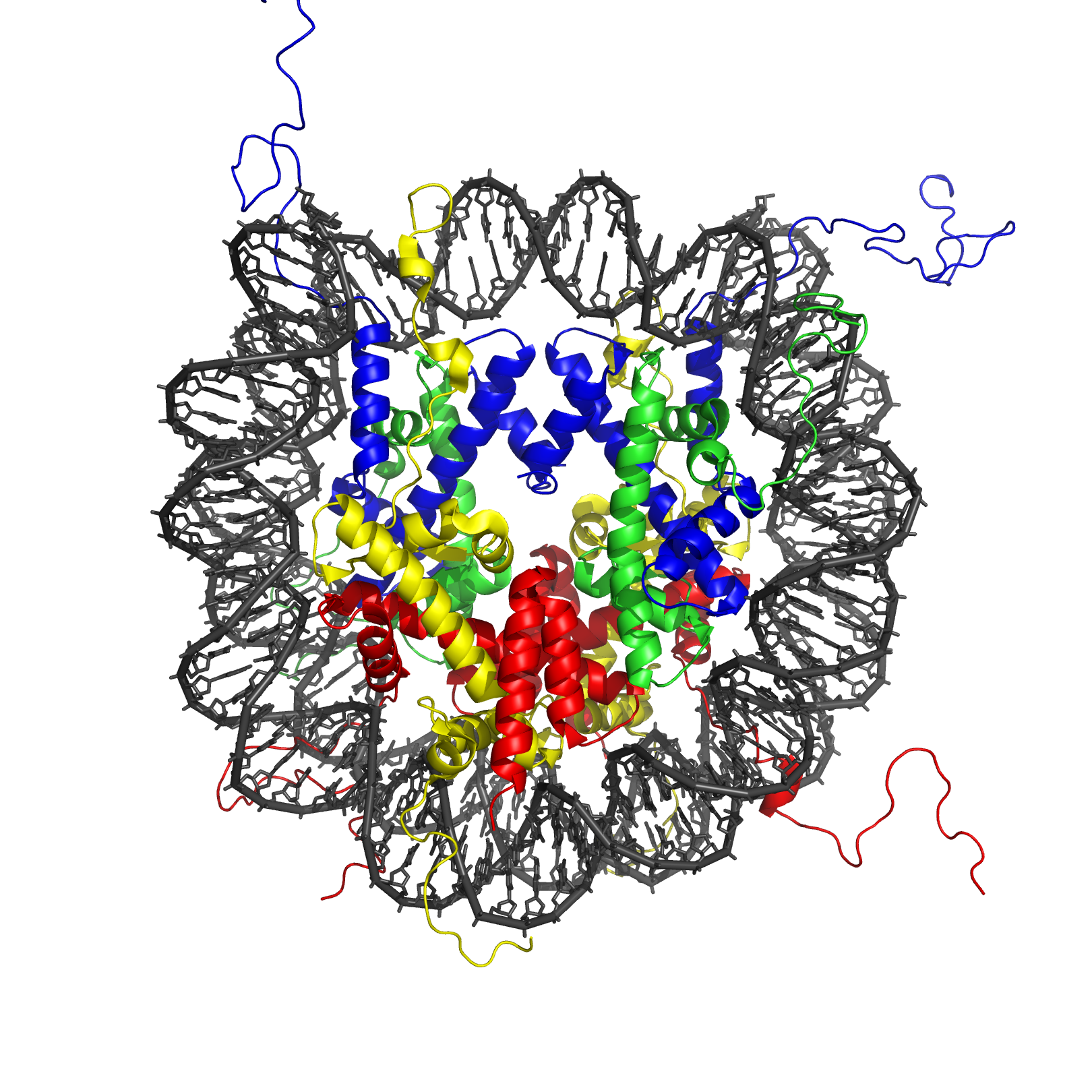 nucleosome